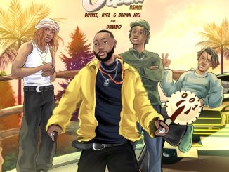 Davido – Ogechi (Remix) mp3