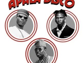 DJ Tunez – APALA DISCO (Remix) ft. Wizkid, Seyi Vibez mp4