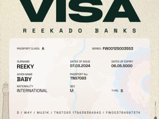 Reekado Banks – Visa mp4