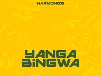 Harmonize – Yanga Bingwa mp3